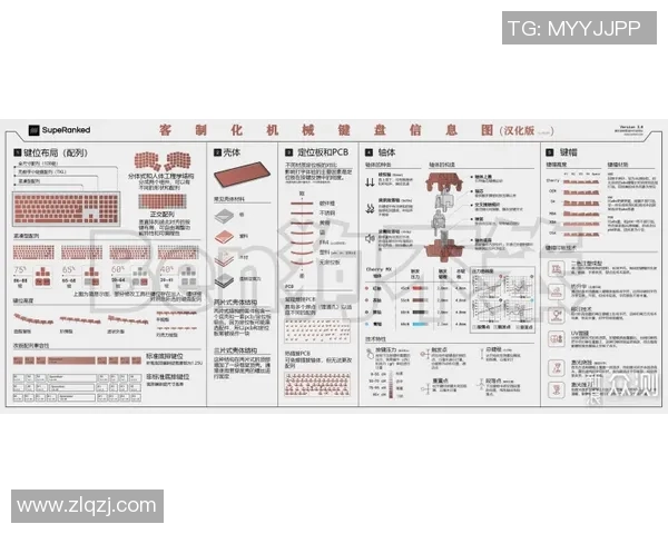 游泳装备全攻略如何根据需求选择最适合你的泳具与配件